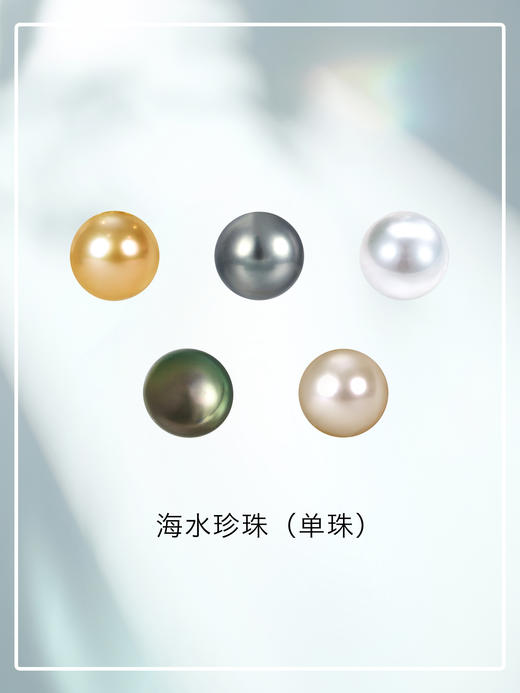 正圆单颗珠【源头选珠 许愿商品】【挚友限定】 商品图0