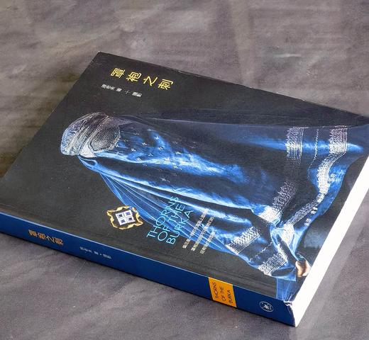 【特惠】《罩袍之刺》，16开平装，原老未著，三联书店2020年一版一印，356面，定价99，售价39元。 商品图1