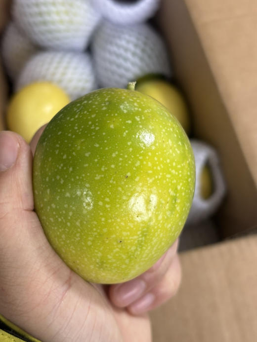 桂蜜5号新品百香果空运到货，鲜甜浓郁 果肉饱满 果汁充盈 回味无穷～ 商品图4