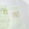 MINIZAI短筒袜两双入MI26SPN04S黄绿色调 商品缩略图10