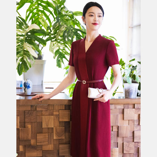 皮尔卡丹女装连衣裙P52074D5117T0 商品图2