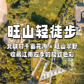 【亲子营】旺山轻徒步 | 北联村千亩花海 × 旺山翠野，1日享双景！