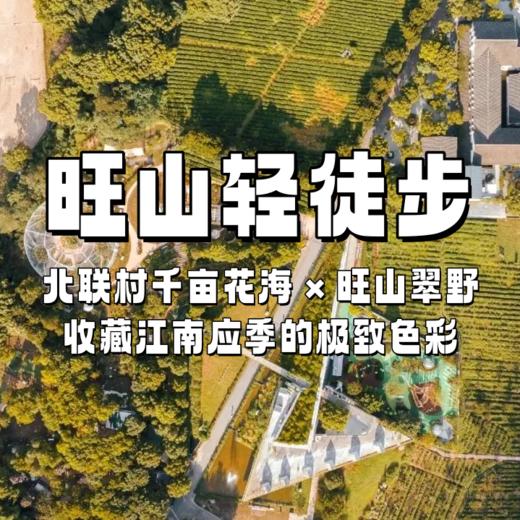 【亲子营】旺山轻徒步 | 北联村千亩花海 × 旺山翠野，1日享双景！ 商品图0