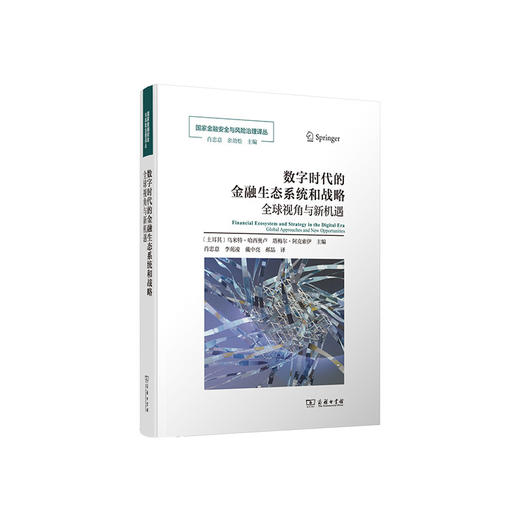 数字时代的金融生态系统和战略:全球视角与新机遇 商品图0