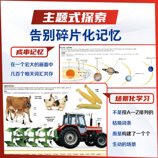 DK韦氏儿童彩图英汉大词典 轻松掌握35000词 8岁+适读 DK英汉双语权威工具书 商品图3