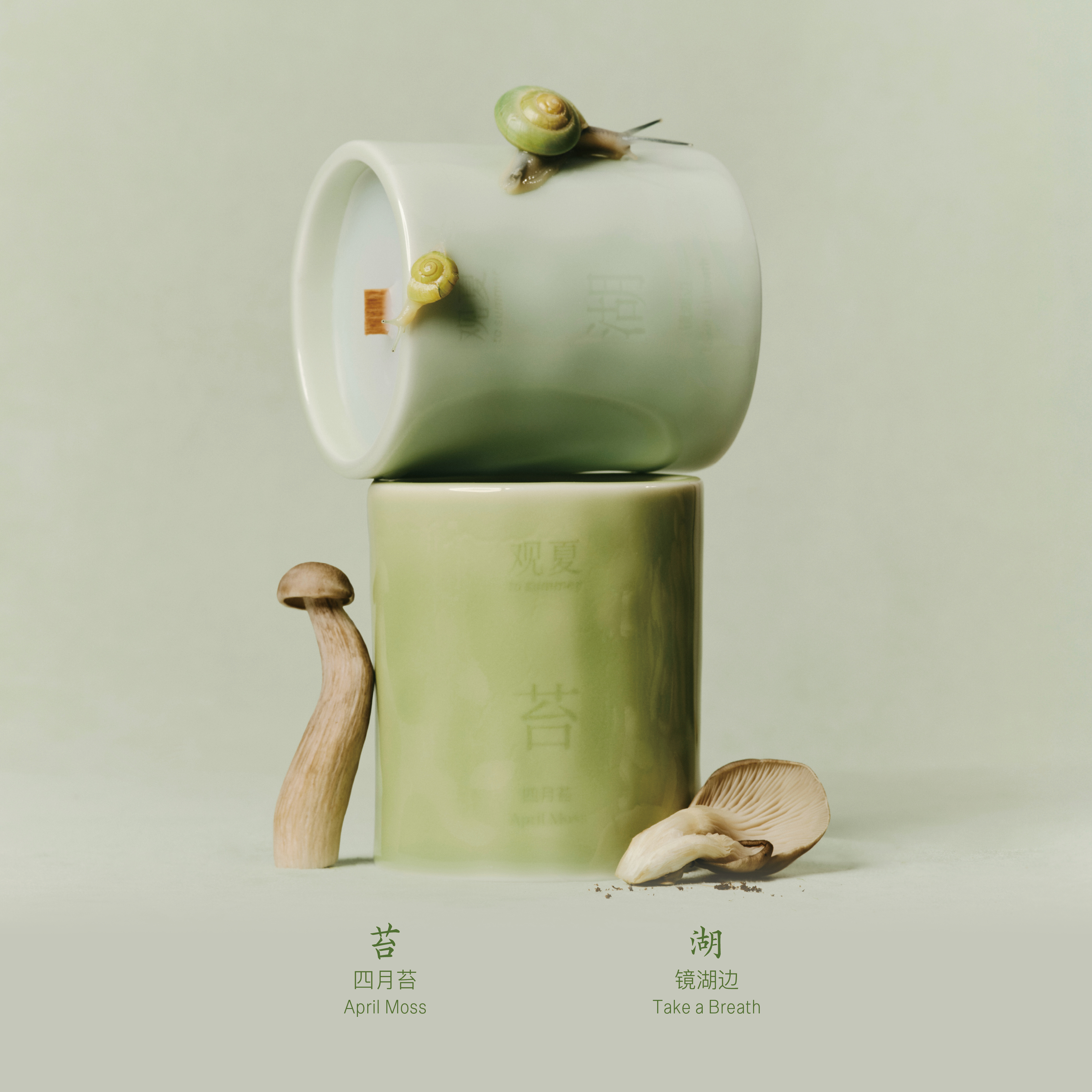 【自由与想象】春日限定时节香氛—四月苔「时节新香」 | 镜湖边