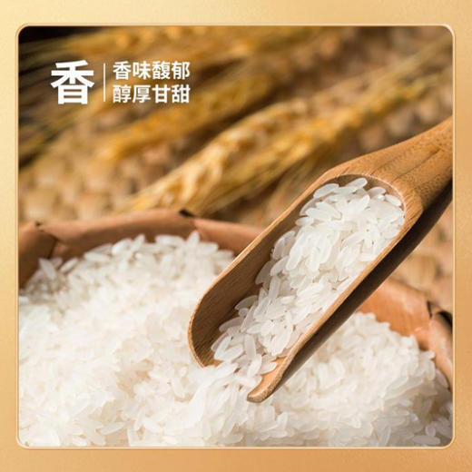 卡什塔西之乡·新疆和田墨玉县长粒香大米  多规格可选 商品图2