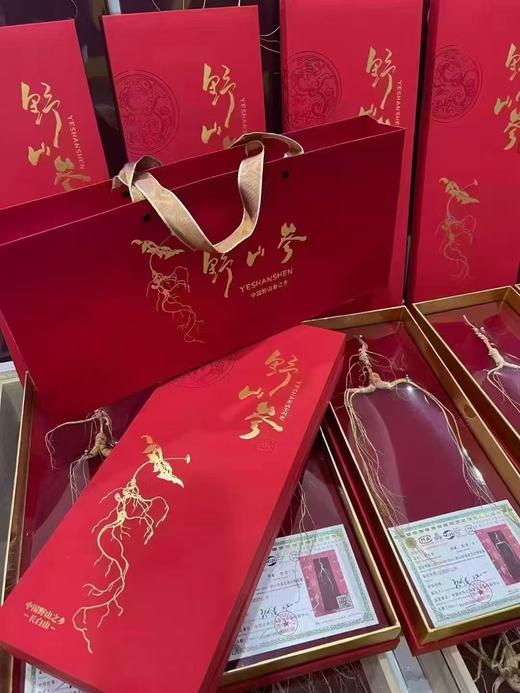 【包邮】国检二等 15+年野山参 滋补佳品 带国检证书 商品图4