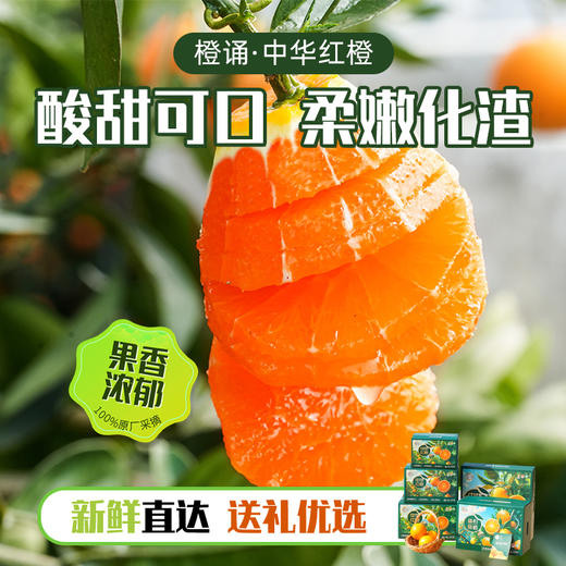 中华红血橙#皮薄肉厚，沁心爽口，化渣爆汁，现摘现发营养元素多 商品图1