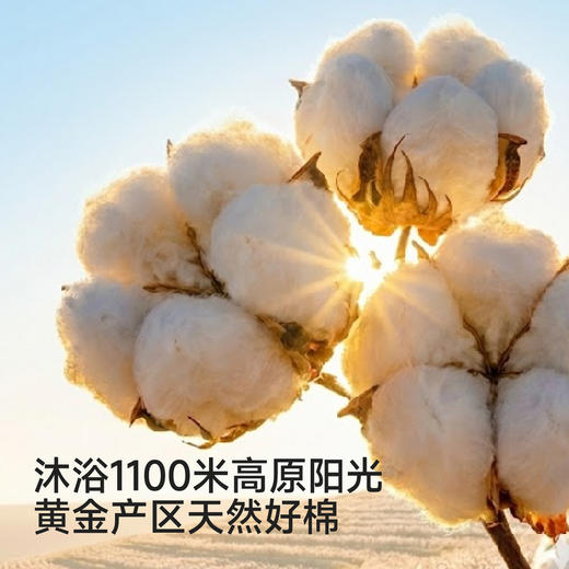 【商场同款】英氏儿童袜子男童女童春夏透气短袜消臭袜子2双装新 商品图2