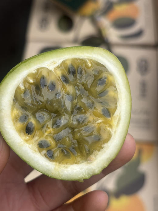 桂蜜5号新品百香果空运到货，鲜甜浓郁 果肉饱满 果汁充盈 回味无穷～ 商品图3