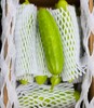 国内首次种植、限量发售的独家蔬菜品种。小巧细长，颜色浅绿，口感清脆。 绿色种植天然采摘0农残👩🌾今早首批次到货！独家品种， 年后减脂必备~ 商品缩略图6