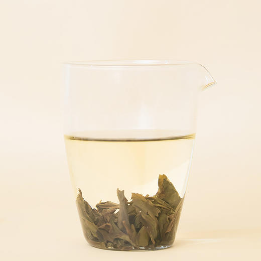 雀舌乌龙茶 商品图0