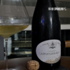 Larmandier-Bernier Latitude Blanc de Blancs 拉蒙迪耶-贝尼耶纬度白中白香槟 商品缩略图2