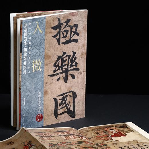 《入微——浙江省博物馆藏瑰宝集萃（书法卷）》 商品图13