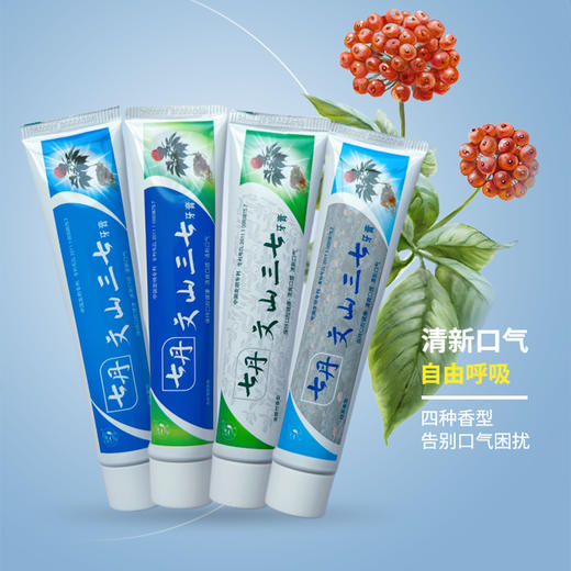 云南七丹文山三七牙膏100g/支植物牙膏 留兰/薄荷/绿茶/竹香多口味可选【不叠加其他活动】 商品图1
