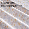 全棉舒适印花四件套(寻香) 商品缩略图1