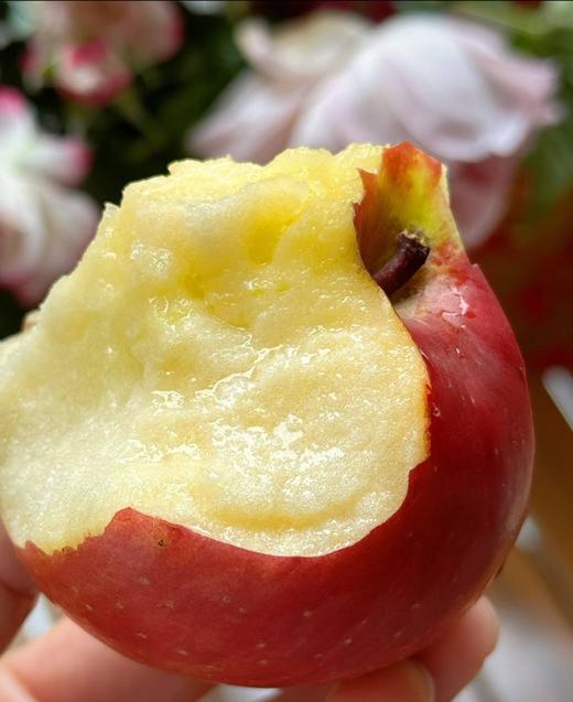 新疆阿克苏樱桃小苹果 果肉瓷实 香味浓郁 个头小巧 商品图3