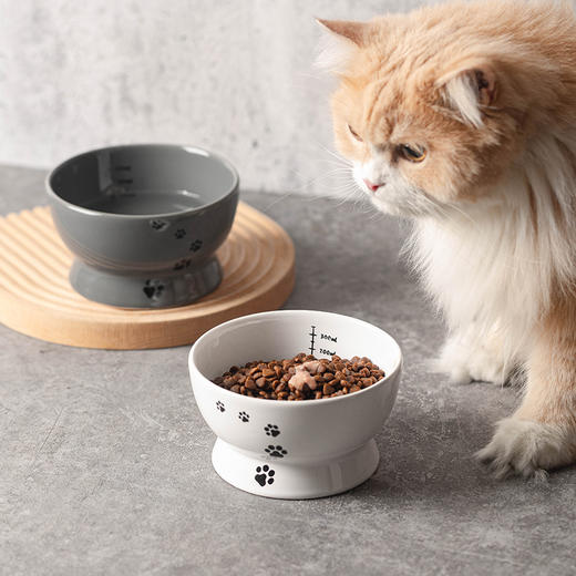漫沃星系平口陶瓷猫碗MC-602灰色 商品图2