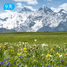 伊犁72公里｜全新升级2.0版 3大秘境领衔上新 欧亚大陆深处最独特的“绿岛视角” 9日