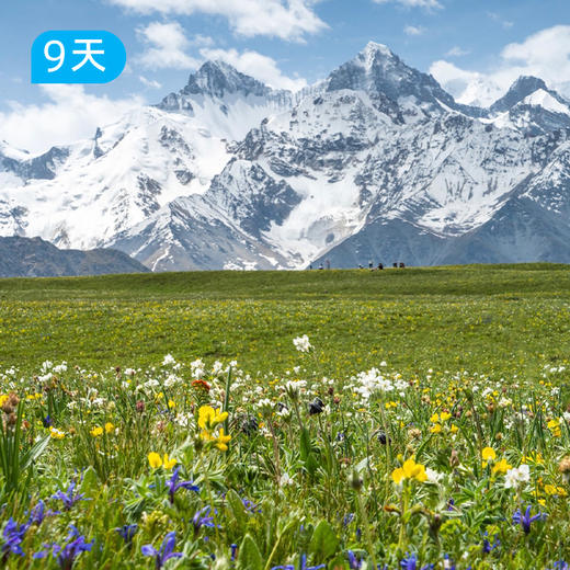 伊犁72公里｜全新升级2.0版 3大秘境领衔上新 欧亚大陆深处最独特的“绿岛视角” 9日 商品图0