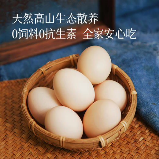 【九华山散养土鸡蛋/初生鸡蛋】天然高山生态散养  0激素0抗生素 商品图1