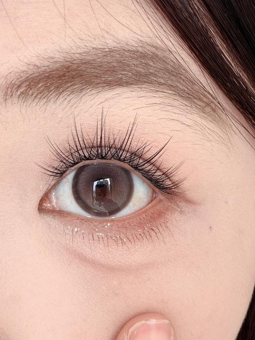 Kaylens半年抛美瞳 松果蛋挞 14.5mm 商品图0