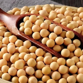 山西静乐五谷豆类 来自静乐山区的豆子 无污染