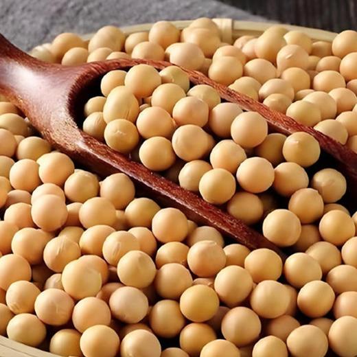 山西静乐五谷豆类 来自静乐山区的豆子 无污染 商品图0