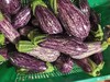 合作｜紫花茄/紫茄子 商品缩略图2