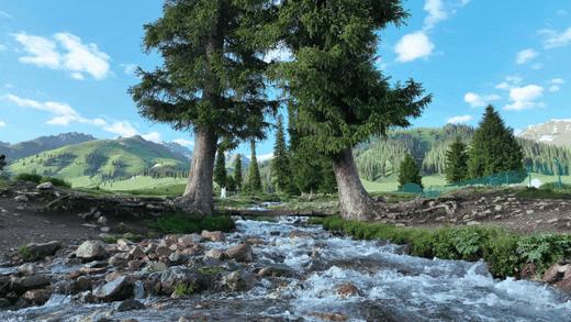 定金锁立减1000！超好评！2026【盛夏伊犁】新疆8日房车亲子营，1家1房车，资深营长带队，VIP通道进景区，赛湖私家游船+住进喀拉峻景区+那拉提与乐队共舞，全程跟拍+航拍大片，不赶路畅享绝美风景！ 商品图2