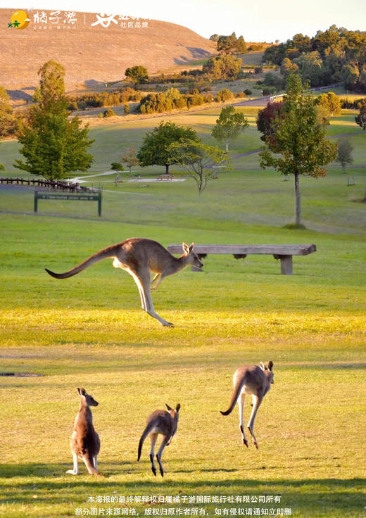 【印象澳洲名城】8 天 商品图1