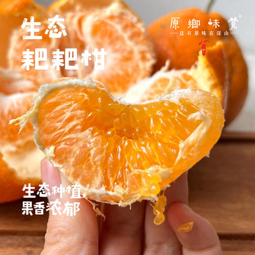 眉山生态耙耙柑（基地直发-京东包邮）｜5斤/箱，8斤/箱，来自四川眉山，生产者：黄琼【合作生产，公平贸易】 商品图0
