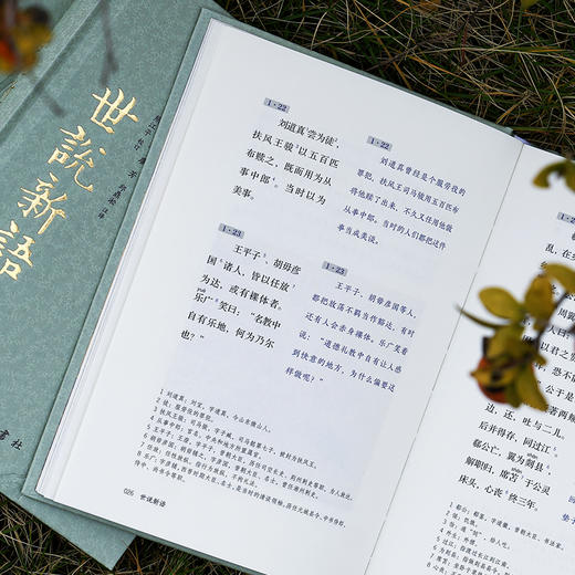 《世说新语》（全本全注全译全彩图本） 商品图7