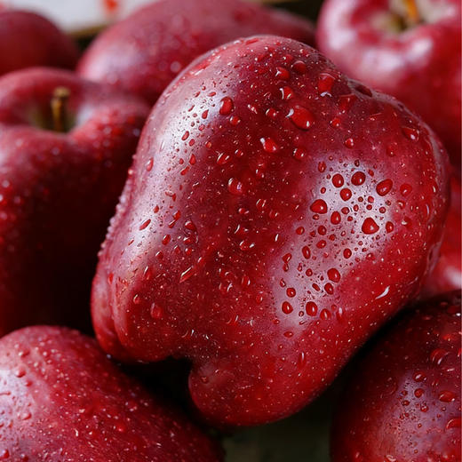 【顺丰/京东】陇上三味苹果礼盒  12 枚甄选 脆甜多汁 自然好味 商品图7