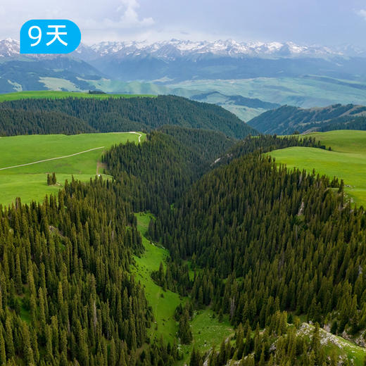 伊犁72公里｜全新升级2.0版 3大秘境领衔上新 欧亚大陆深处最独特的“绿岛视角” 9日 商品图1