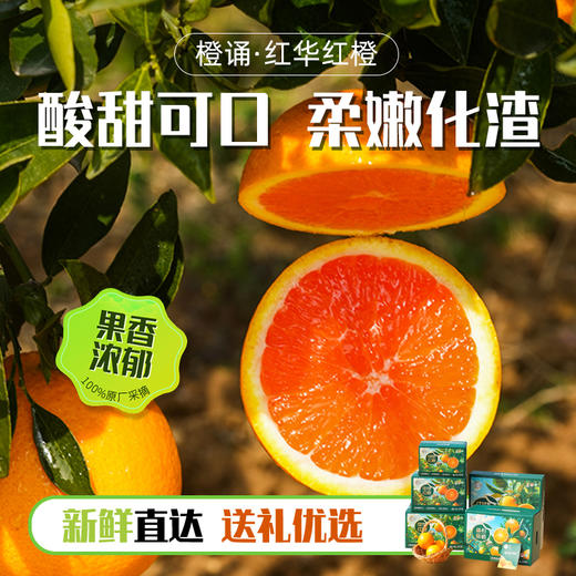 中华红血橙#皮薄肉厚，沁心爽口，化渣爆汁，现摘现发营养元素多 商品图4