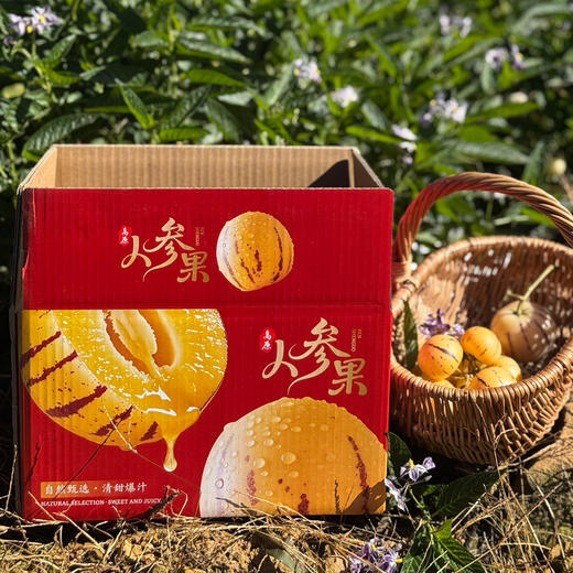 攀枝花红土地树上熟人参果 净重3-5斤装 甄选品质果 果香浓郁 汁水丰沛 黄肉圆果新鲜水果 商品图2