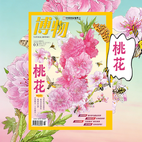 《博物》202603  桃花 专题+超级拉页