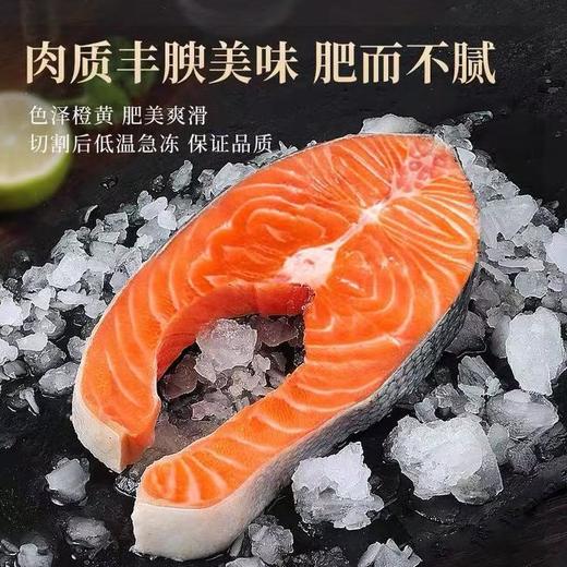 挪威三文鱼排 500g*2袋 甄选三文鱼中段 急速冷冻锁鲜 商品图0