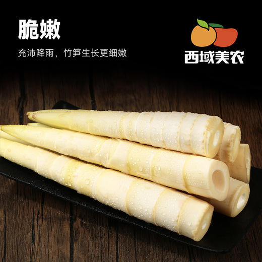 西域美农天目山春笋 新鲜到会“冒水” 的笋 很嫩    云南，贵州，黑龙江，吉林发中通快递，其他区域发顺丰 商品图0