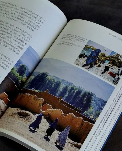 【特惠】《罩袍之刺》，16开平装，原老未著，三联书店2020年一版一印，356面，定价99，售价39元。 商品图11