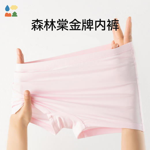 【儿童内裤】森林棠新款男童女童吸湿透气莫代尔内裤三条装 商品图2