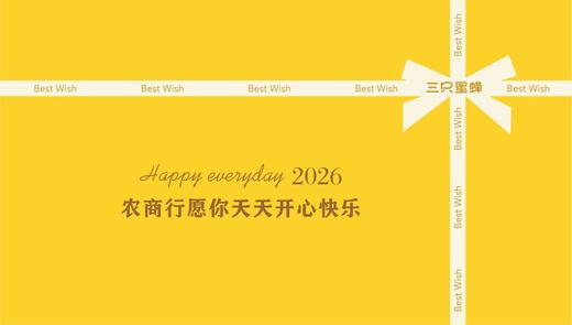 C26长安实验中学 商品图0