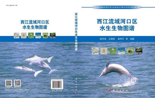西江流域河口区水生生物图谱 商品图3