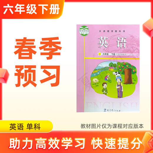 【英语】六年级下册预习 单科 商品图0