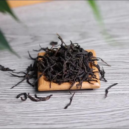 陈韵堂|2026年高山茶虎100g/罐一级单丛茶 商品图1