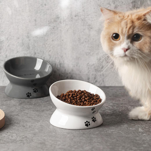 漫沃星系斜口陶瓷猫碗MC-603白色 商品图3