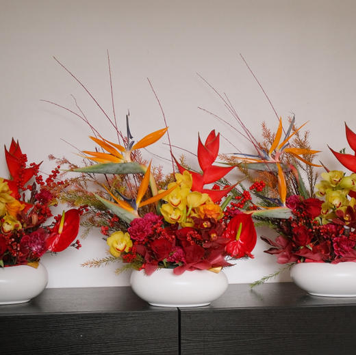 《翱翔》天堂鸟富贵鸟红掌新年插花 商品图5