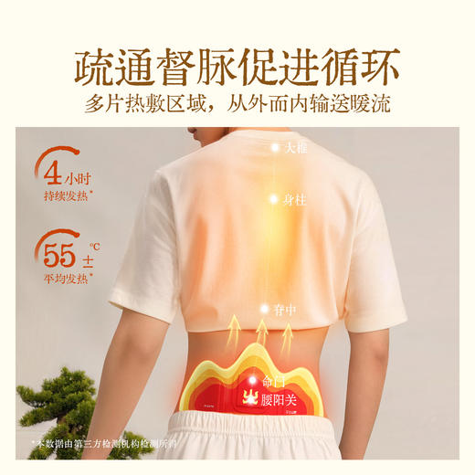 石斛地黄暖阳贴   腰膝酸软  温灸腰肾  唤醒腰动力 商品图1